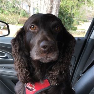 Meet your Posher, Jeff